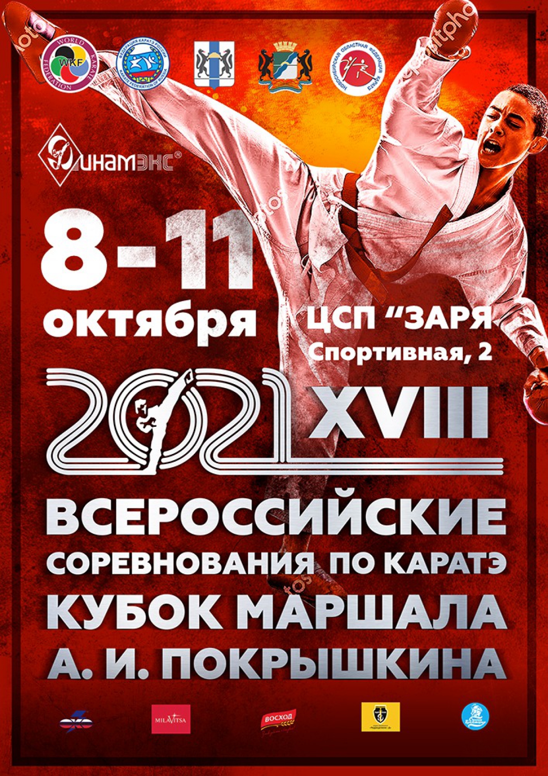 Всероссийские соревнования «Кубок маршала А.И. Покрышкина»
