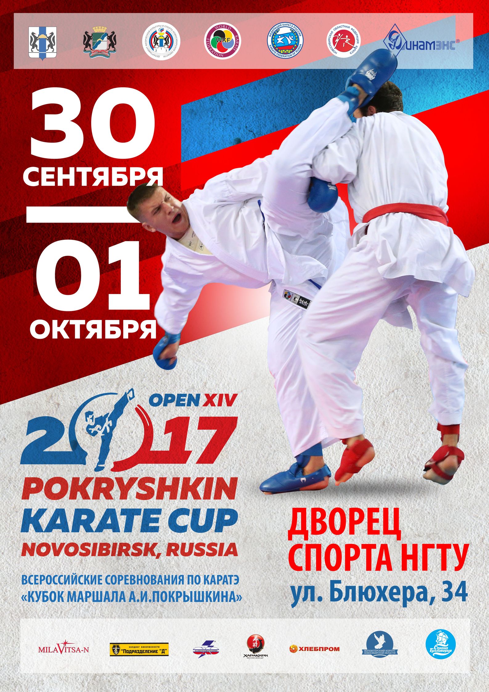 Всероссийские соревнования по каратэ "Кубок маршала А.И. Покрышкина"